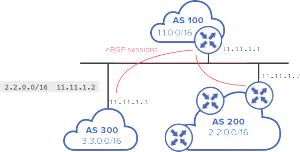 bgp next hop