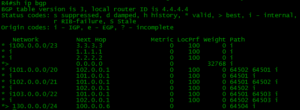 bgp table version