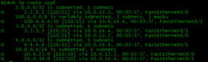 ip route ospf